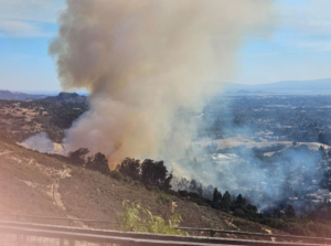 Rapid moving Brush Fire Causes Damage to Seven Homes in Oakland Neighborhood, Fire officials report