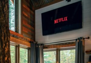 Netflix hikes prices as password boost diminish