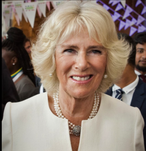 Queen Camilla is battling a chest infection, forcing her call off engagements, palace says