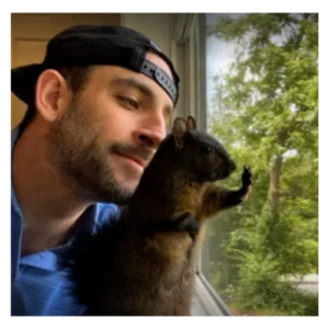 An orphaned squirrel that gained fame on social media was euthanized after it was seized from its caretaker’s home.