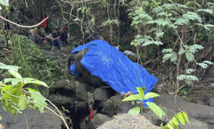 A zoo elephant dies in Indonesia after being swept away in a river