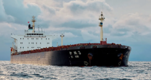 Swedish police board Chinese ship in probe over severed cables
