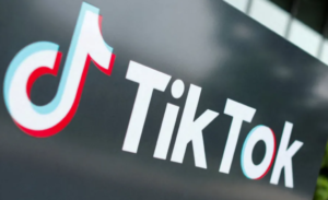 Albania declares one-year TikTok ban over stabbing