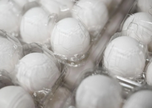 FDA issues urgent salmonella warning for Costco eggs