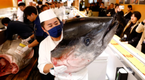 Motorcycle-sized tuna fetches more than $1 million at Japan auction