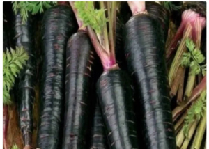 Miraculous Benefits of Black Carrot: Who Should Definitely Include It in Their Diet?
