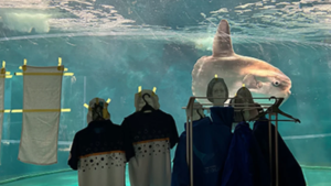 Japanese aquarium cheers up lonely sunfish with cardboard cutouts of people