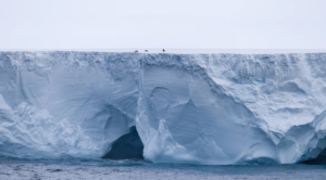 Fears that the world’s biggest iceberg could hit island in the South Atlantic