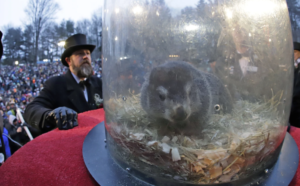 Punxsutawney Phil to emerge with his annual prediction about the end of winter