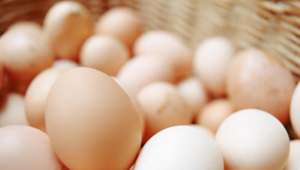 100,000 eggs were stolen from a trailer in Pennsylvania, police say
