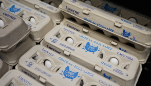 The heist of 100,000 eggs in Pennsylvania becomes a whodunit that police have yet to crack