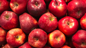 What Happens If You Eat an Apple Every Day for 15 Days? Do You Know the Benefits of This Fiber-Rich Fruit?