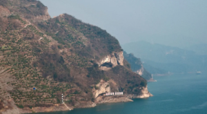 China’s ‘Puppy Mountain’ goes viral