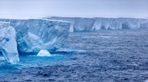 World’s biggest iceberg runs aground off South Georgia