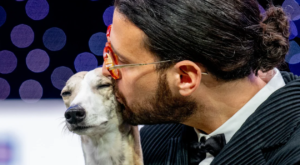 Italian whippet called Miuccia is top pooch at world’s biggest dog show