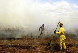 Zimbabwe makes first compensation payments to white farmers over land seizures