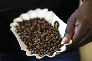 In coffee-producing Uganda, an emerging sisterhood wants more women involved