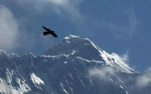 British Mountaineer Reaches Everest Summit for 19th Time, Setting New Record for Most Ascents by a Non-Sherpa