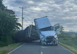 Truck Overturns in Washington, Releasing Millions of Honeybees
