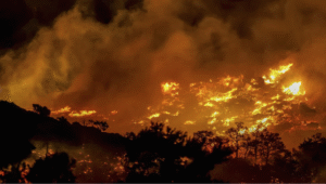 Wildfire Forces Evacuations of Hotels and Homes on Greece’s Crete Island