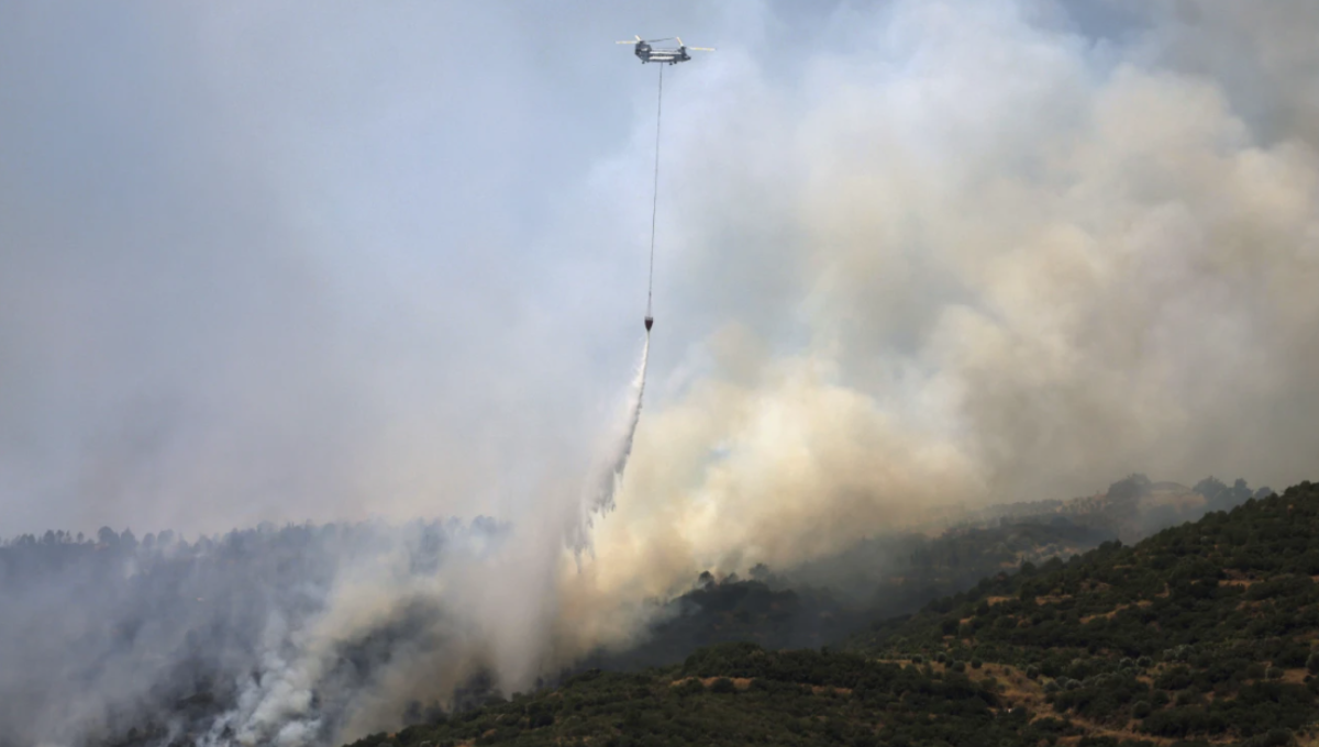 Wildfire