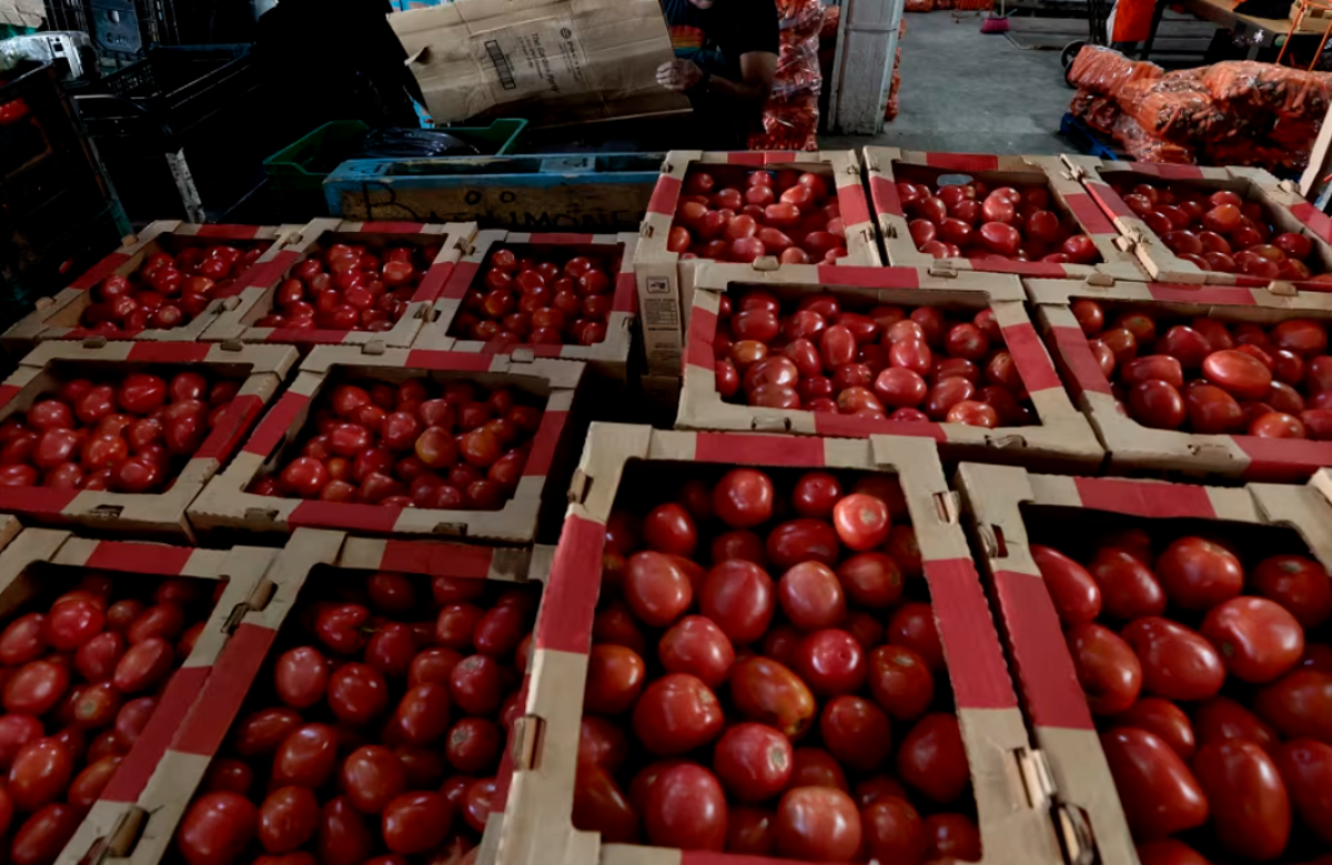 tomato