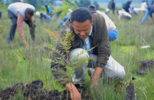 Ethiopia Launches Nationwide Drive to Plant 700 Million Trees in a Single Day