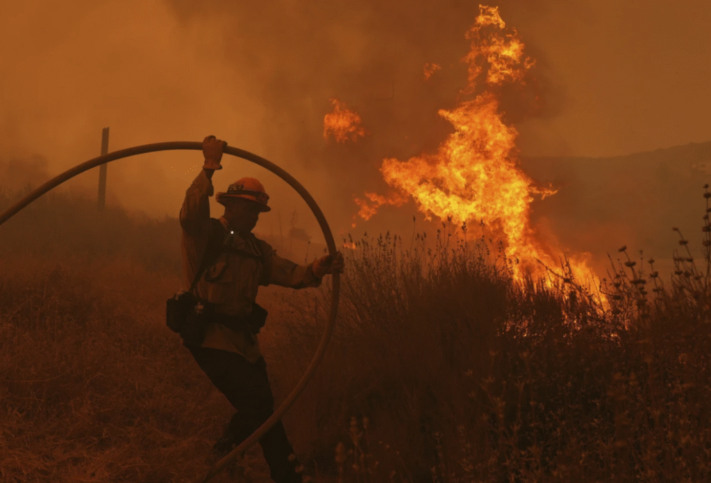 Firefighters