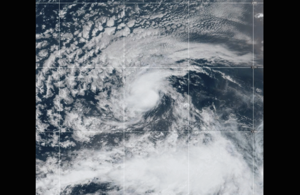 Tropical Storm
