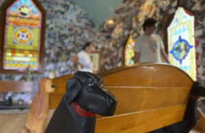 Vermont’s Expansive Mountain Park Honors the Special Bond Between People and Their Dogs